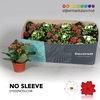 Kalanchoe No Sleeve - Christmas mix - kerst