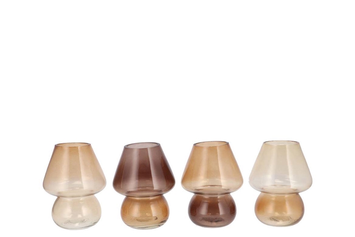 <h4>Bicolore Natural Brown Mix Mushroom Ass 12x15cm</h4>