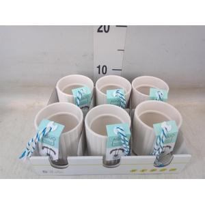 Pot   ...Keramische H%