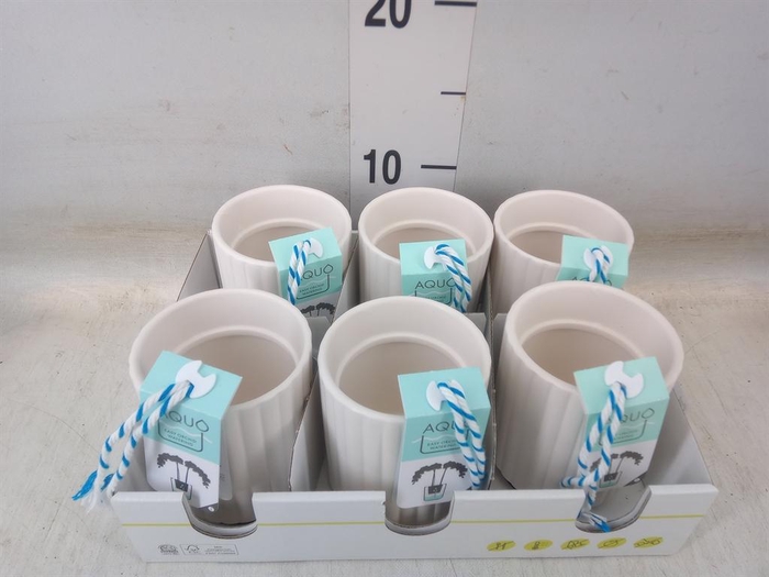 <h4>Pot   ...Keramische H%</h4>