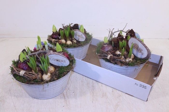 <h4>ARR BOL KNOLGEWAS</h4>