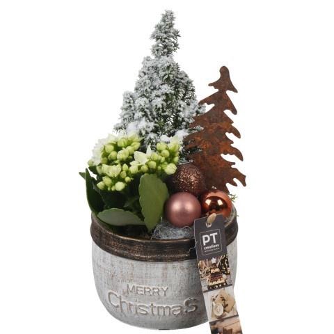 <h4>PTCHB9767 Arrangement Christmas Bronze in beton po</h4>