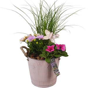 PTPP6805 Arrangement Patio in metalen bak