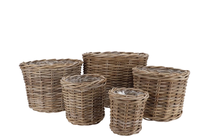 <h4>Rattan Ivy Natural Cilinder Set 5 17x17/23x20/27x23/34x26/40</h4>