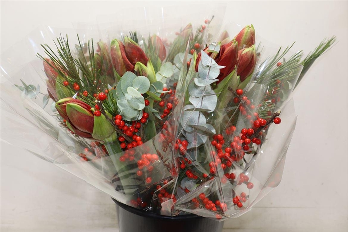 <h4>Amaryllus Boeket Rood</h4>