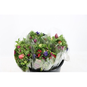 Anem Co Jerusal Mixed