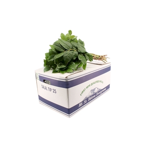 Salal Tip Blue Box