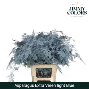 Asp extra veren Light blue