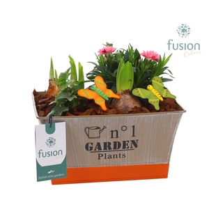 Zink schaal voorjaar div.kleuren met arrangement