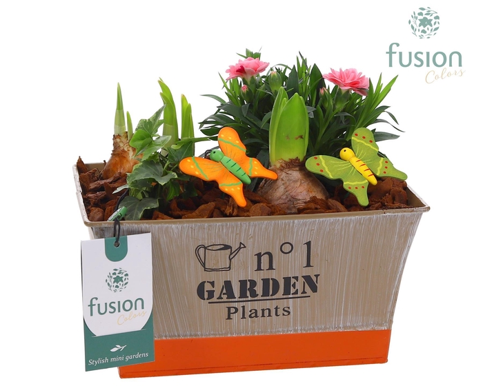 <h4>Zink schaal voorjaar div.kleuren met arrangement</h4>