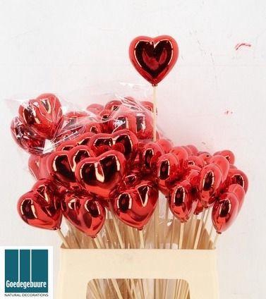 <h4>HARTJE OP STOK H%</h4>