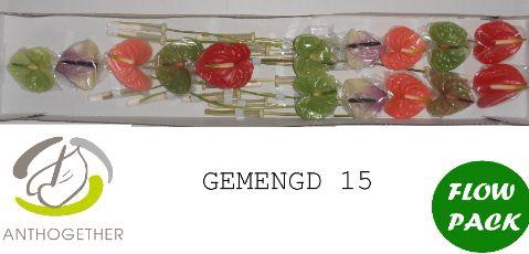 <h4>Anthurium Mix</h4>