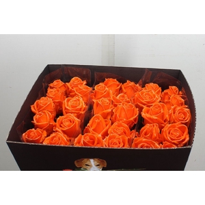 Wax-Rozen Wax Oranje w6