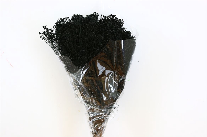 Dried Brooms Black Bunch