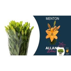 LI LA MENTON