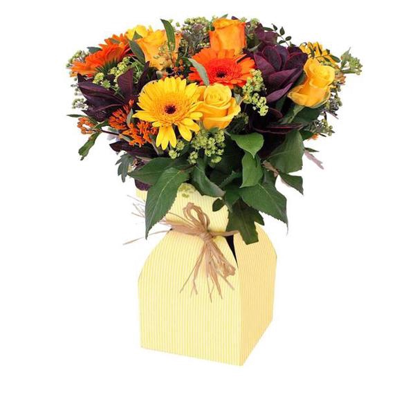 <h4>Vaas Basic kraft karton+plastic 11.5xH21cm geel</h4>