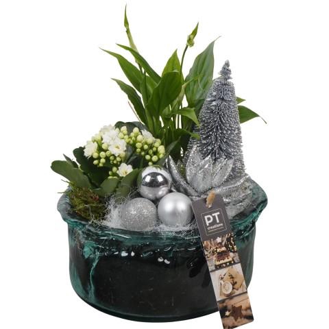 <h4>PTCHW4366 Arrangementen Kerst</h4>