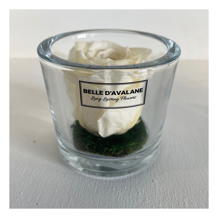 <h4>Cilinder d9x8h champagne roos glas</h4>