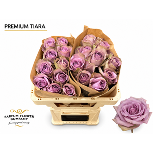Rosa Premium Tiara