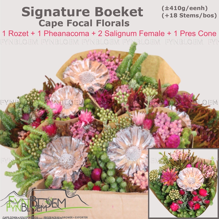 <h4>KAAPS GROE GEM IN BS</h4>