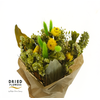 Dried Bouquet Green x10