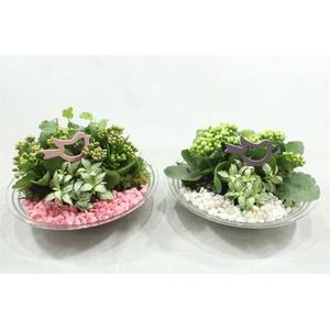 0232 GLAS 28 ROZE/WIT