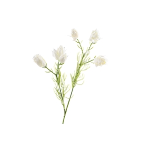 Protea Branch