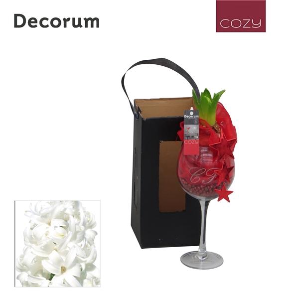 <h4>Arrangementen Hyacinthus 6%</h4>