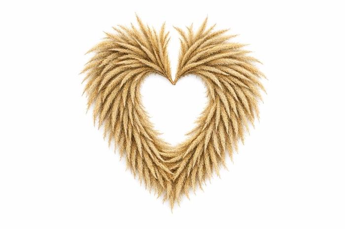 <h4>Wr Silkworm Heart Shape Natural 30cm</h4>