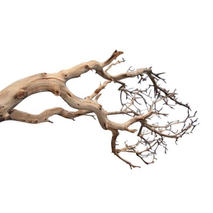 Branch Manzanita H90