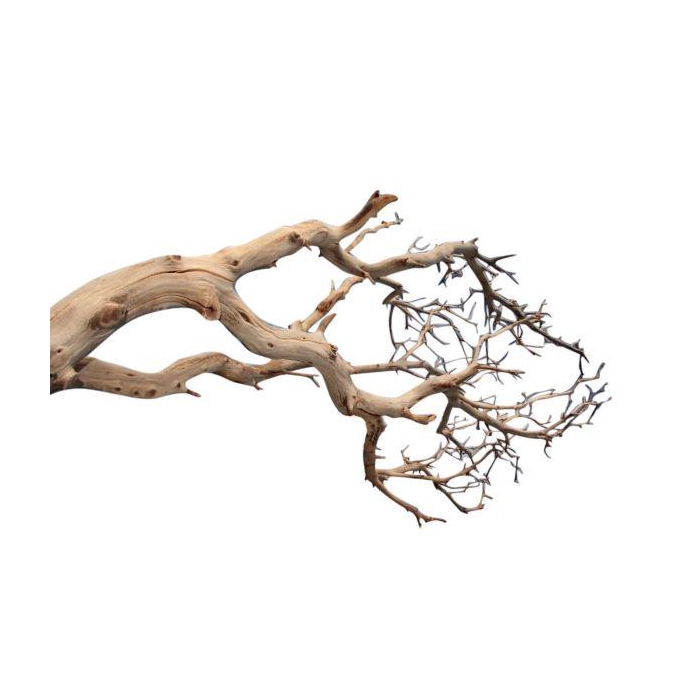 <h4>Branch Manzanita H90</h4>