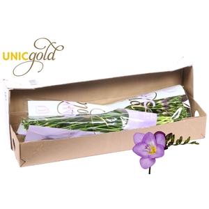 UG Mol - Delta River box