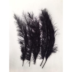 Feathers Ostrich 55cm 5pcs Black