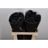 Wax-Rozen Wax Zwart w20