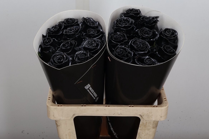 Wax-Rozen Wax Zwart w20