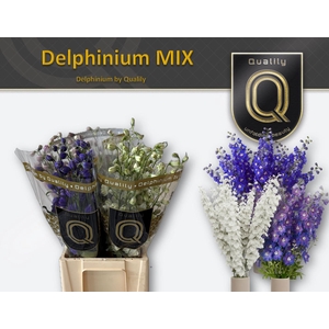 DELPH DU GEM FUST 70CM MIX