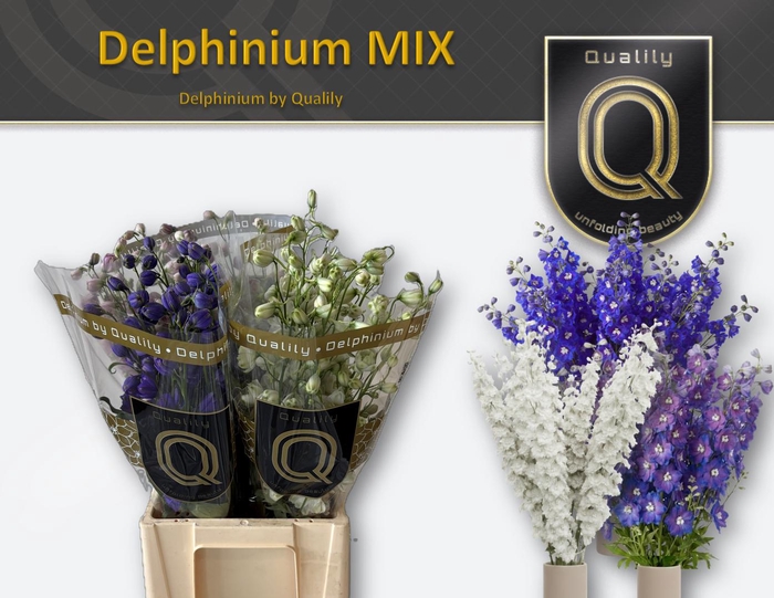 <h4>DELPH DU GEM FUST 60CM MIX</h4>