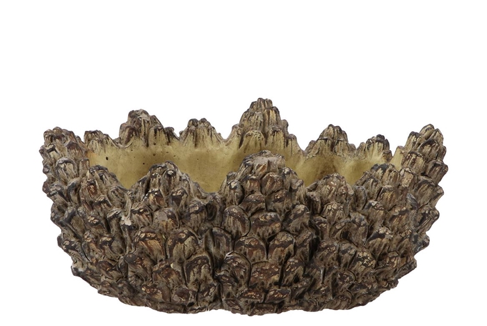 Concrete Natural Pinecone Bowl Oval Edge 28x17x11cm Nm