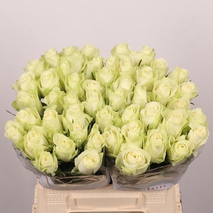 R GR ATHENA