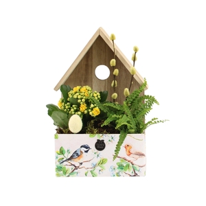 70905: Easter arrangement