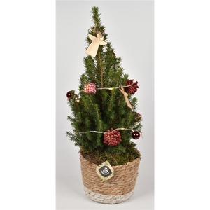 Touwmand met Kerstsl. en LEd verl. 16cm