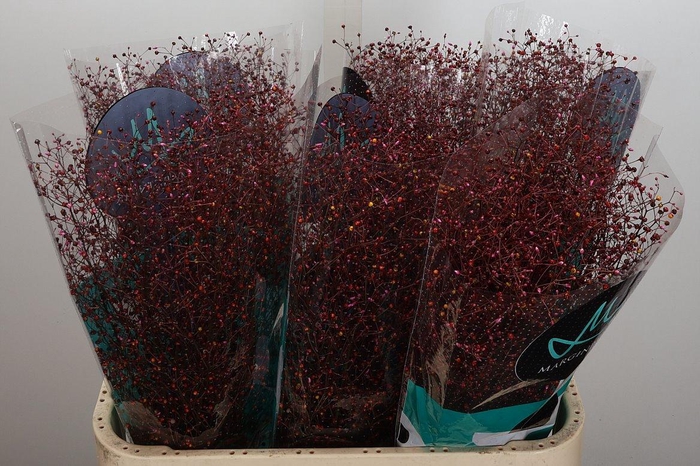 <h4>Talin Pan Long John</h4>