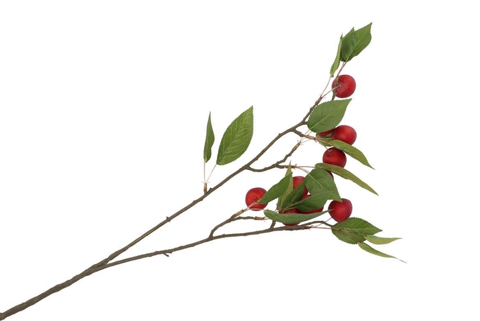 <h4>Silk Apple Plum Claude Red 76cm Nm</h4>