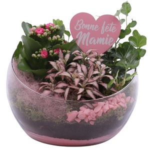 Grandmothers Day Arr. Indoor Glass Bowl Vase Ø20cm 3PP