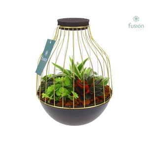 Vogelkooi metaal goudzwart Medium met groene planten