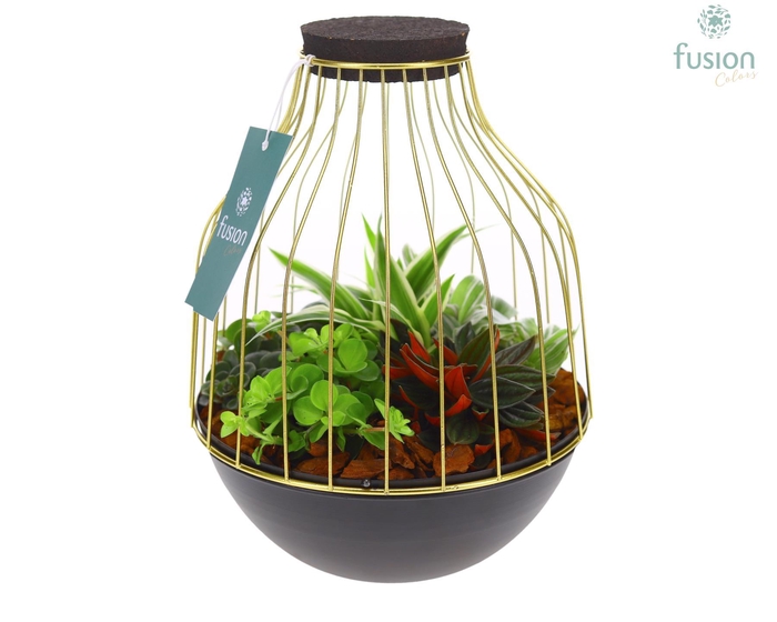 <h4>Vogelkooi metaal goudzwart Medium met groene planten</h4>