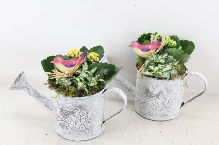 <h4>arr2 TD - Zink gieter - geel/wit</h4>