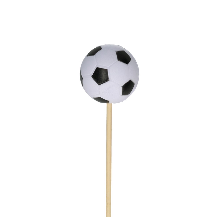 50cm Voetbal 6cm