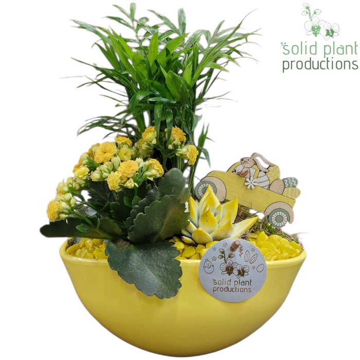 <h4>CE005 Evelyn Yellow Easter</h4>