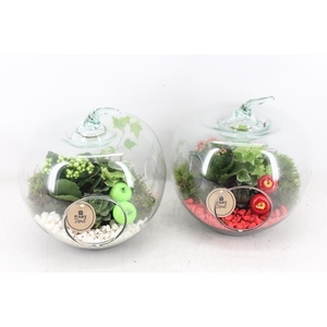 arr2 PL - Glazen appel XL - mix